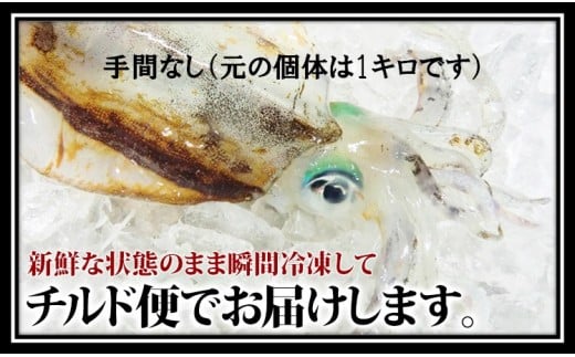 【ふるさと納税】瞬間冷凍アオリイカ（手間なし） 750g 鮮度抜群 真空パック お刺身