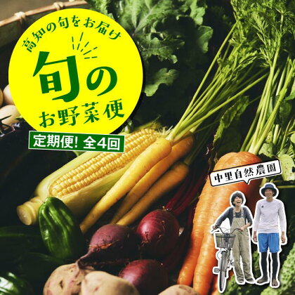 【定期便！全4回】高知の旬をお届け「中里自然農園・旬のお野菜便」