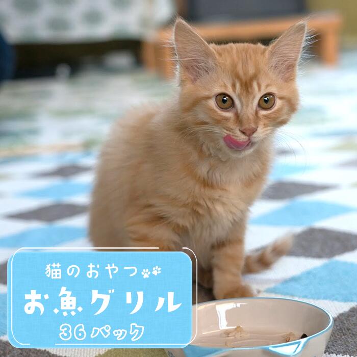 【ふるさと納税】猫のおやつ「お魚グリル」36パック入り