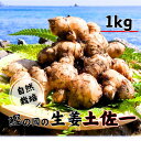 【ふるさと納税】 生姜 ( 土佐一 ) 1kg 自然栽培 農薬 化学肥料不使用 高知県 鰹乃國