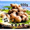 【ふるさと納税】 生姜 ( 土佐一 ) 500g 自然栽培 農薬 化学肥料不使用 高知県 鰹乃國