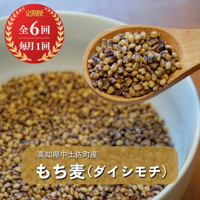 【ふるさと納税】【定期便6回コース】もち麦（ダイシモチ）1.0kg×2パック