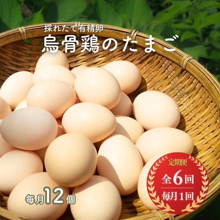 【ふるさと納税】【定期便6回コース】烏骨鶏のたまご　有精卵12個入り