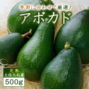 【ふるさと納税】〈先行予約受付中〉土佐久礼産　完熟アボカド　500g その1