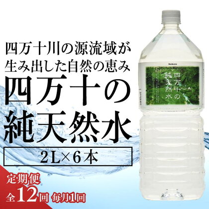 〈定期便全12回〉四万十の純天然水2L×6本