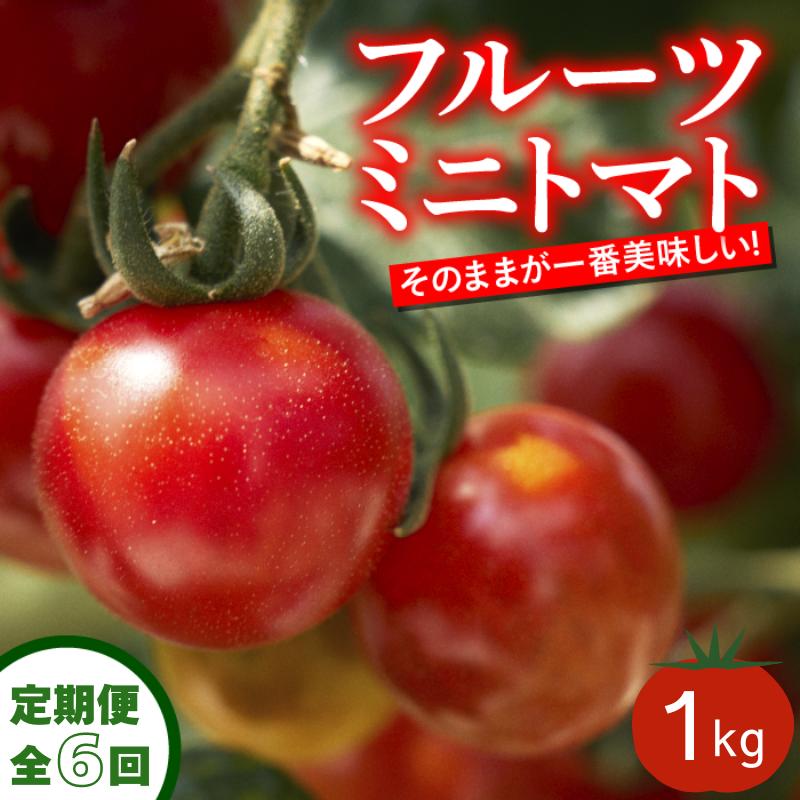 【ふるさと納税】 定期便 6回 トマト フルーツミニトマト 1kg 1月～6月 毎月お届け フルーツトマト ふるーつとまと 甘い 濃厚 美味しい 箱詰め 糖度 8%～12% 高知 四万十川 源流域で育まれた 絶品