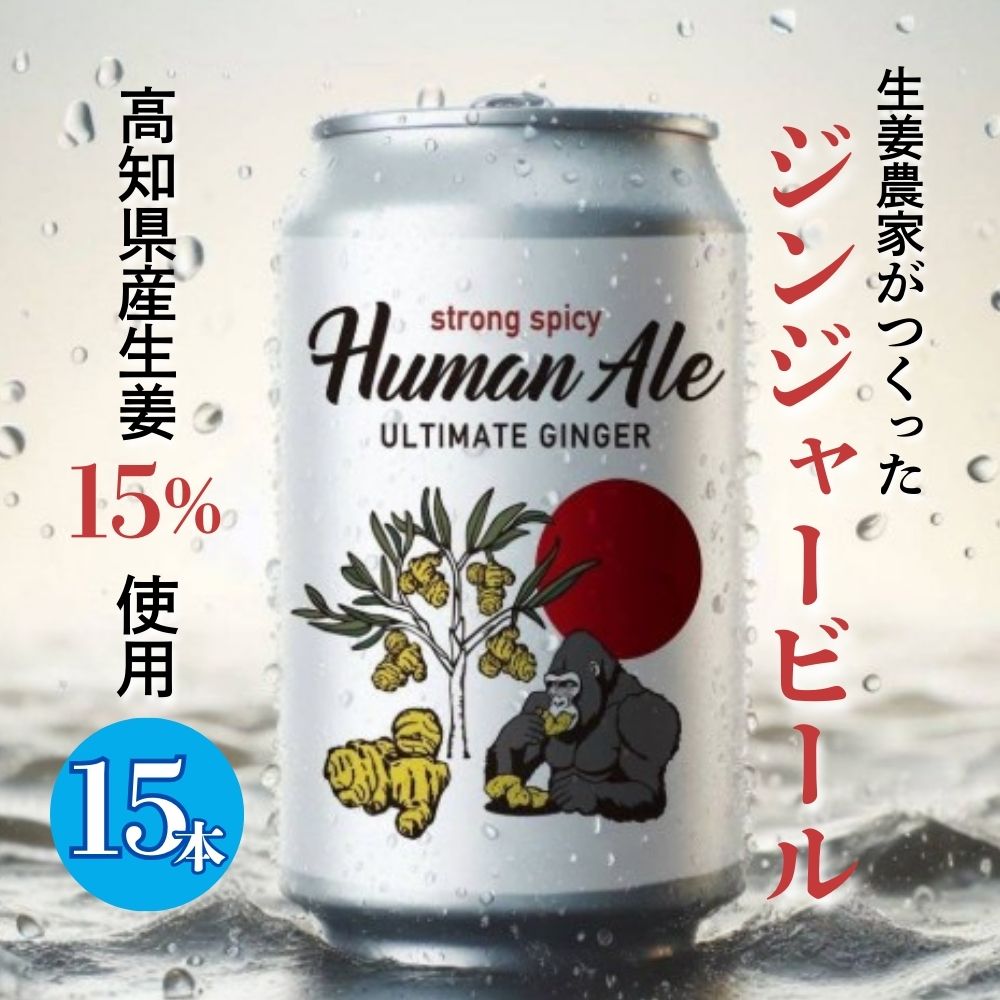 【ふるさと納税】 ジンジャービール 15本セット 生姜 ビール スパイシー 辛口 高知