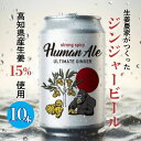 【ふるさと納税】 ジンジャービール 10本セット 生姜 ビール スパイシー 辛口 高知