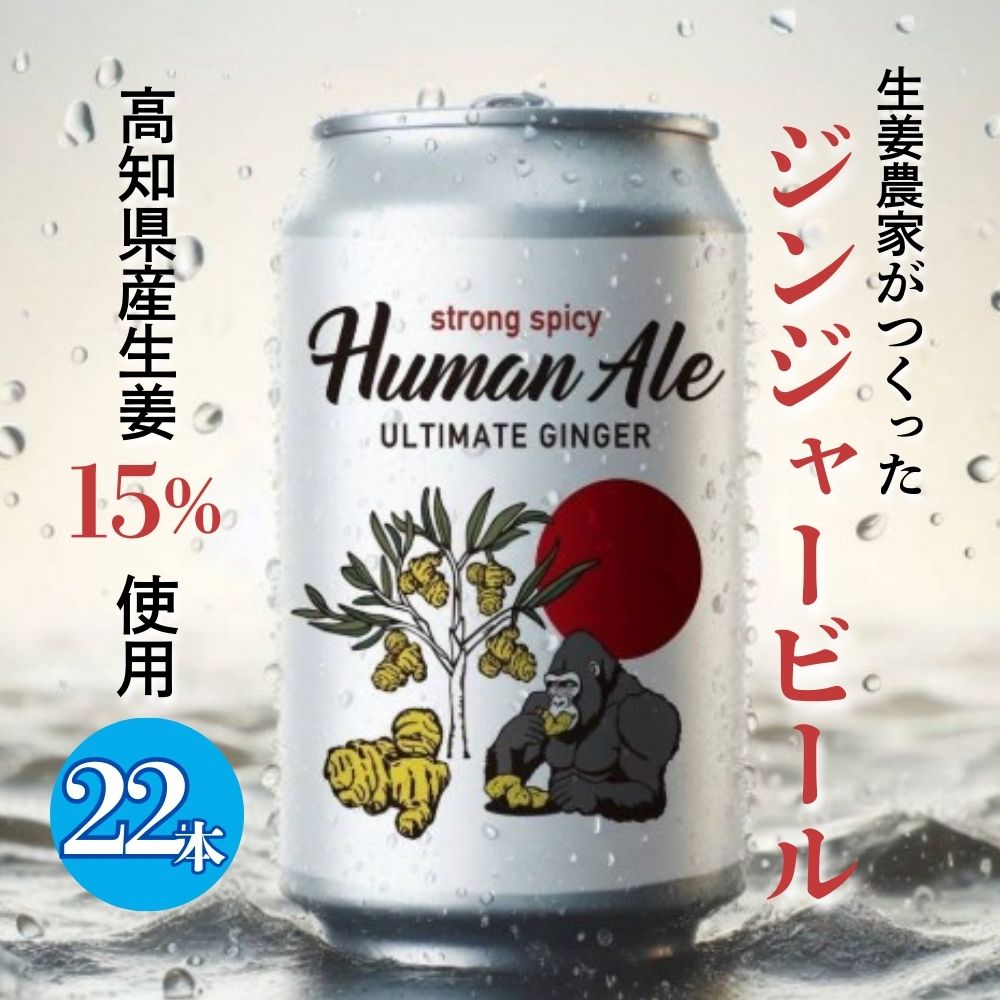【ふるさと納税】 ジンジャービール 22本セット 生姜 ビール スパイシー 辛口 高知