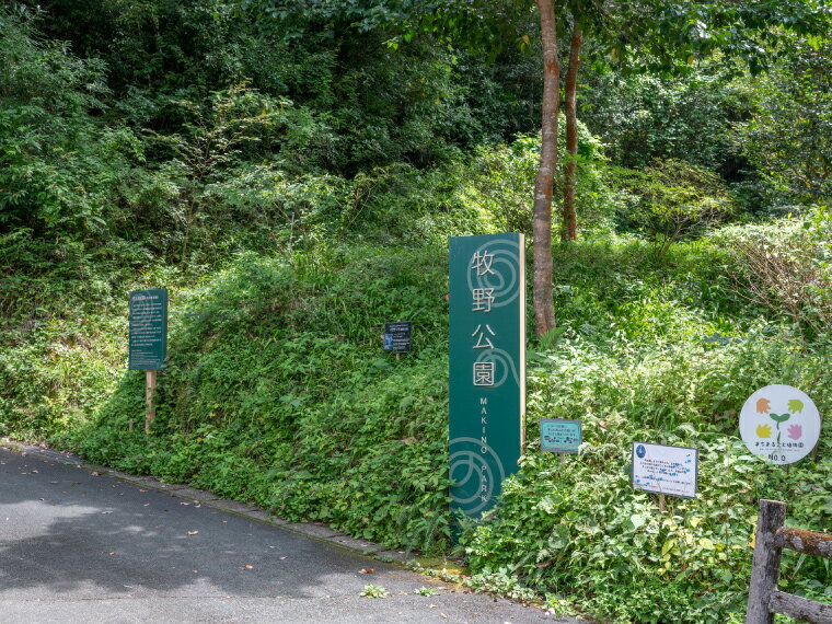 【ふるさと納税】＜牧野公園ガイドツアー 2時間コース 牧野富太郎ゆかりの植物 案内 説明 10名以下 プライベートツアー 山野草 植物 草木 コケオ＞高知県 佐川町 朝ドラ らんまん 花めぐり 散策その2