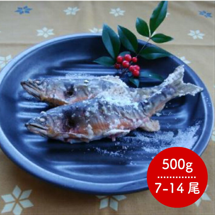 先行予約＜有名料亭も絶賛！鮎屋仁淀川の仁淀ブルー友釣り天然鮎500g（5-14尾）＞あゆ アユ　香魚 高知県 佐川町 仁淀川町 贈答用 鮮度抜群 仁淀ブルー NIYODOBLUE ＜毎年6月中旬頃から発送予定＞