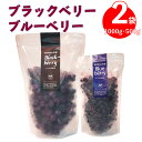 【ふるさと納税】冷凍 ブルーベリー 500g ブラックベリー1,000g 合計1.5kg 国産 フルーツ 秀品 チャック付き袋 パック 嬉しい2種入