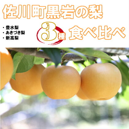 佐川の梨 3種 リレーでお届け 定期便 食べ比べセット【期間・数量限定】高知県 佐川町 黒岩【常温】【予約販売商品】【9月上旬頃より順番に発送】 朝ドラらんまんモデル 牧野富太郎のふるさと 佐川から直送