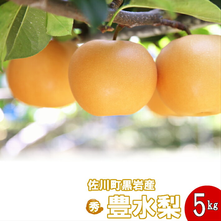 豊水梨(約5kg)[期間限定]高知県 佐川町 黒岩[常温][予約販売商品][9月初旬頃より発送開始]8-12玉