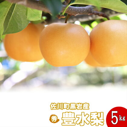 豊水梨（約5kg）【期間限定】高知県　佐川町　黒岩【常温】【予約販売商品】【9月初旬頃より発送開始】8-12玉