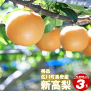 【ふるさと納税】<新高梨(3玉入り)【期間限定】>高知県 佐