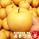 【ふるさと納税】<2024年9月中旬頃より発送>【先行予約受付】<あきづき(約5kg/8~12玉)>梨 贈答 ギフト 秀品 常温 黒岩 秋月フルーツ 敬老の日 旬