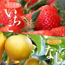 17位! 口コミ数「0件」評価「0」＜フルーツ 定期便（全2回）＞ いちご 梨 fruit 苺 おすすめ フレッシュ 旬 果物 くだもの 高知県 佐川町産【常温】【冷蔵】