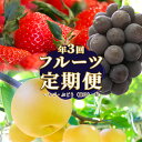 【ふるさと納税】<フルーツ 定期便(全3回)> いちご ぶどう 藤稔 梨 fruit 苺 おすすめ 旬 果物 くだもの 高知県 佐川町産【冷蔵】【常温】