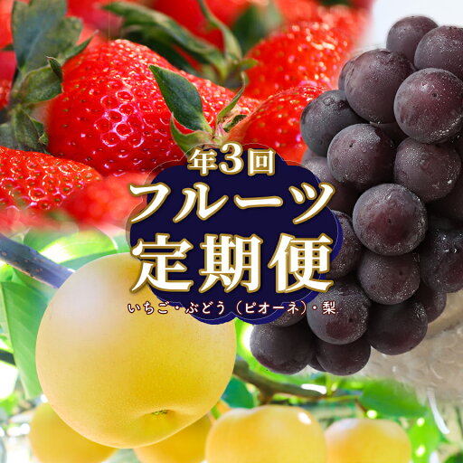 【ふるさと納税】<フルーツ 定期便(全3回)> いちご ピオーネ ぶどう 梨 fruit 苺 おすすめ 旬 果物 くだもの 高知県 佐川町産【冷蔵】【常温】 【ふるさと納税】<フルーツ 定期便(全3回)> いちご ピオーネ ぶどう 梨 fruit 苺 おすすめ 旬 果物 くだもの 高知県 佐川町産【冷蔵】【常温】