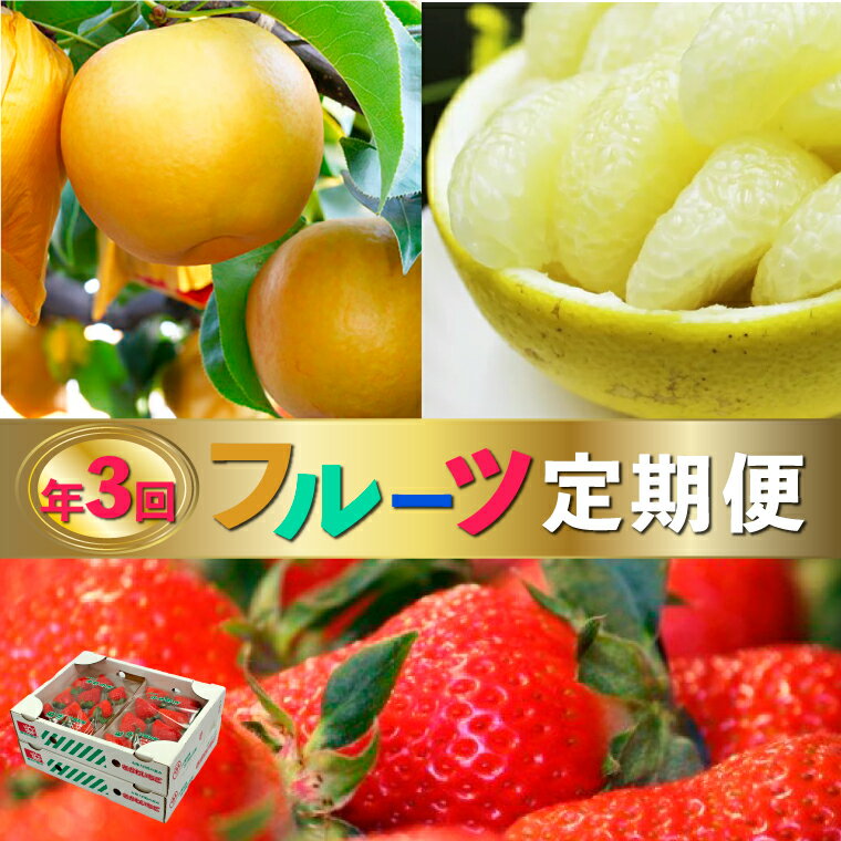 【ふるさと納税】＜フルーツ 定期便 全3回 ＞ いちご 土佐文旦 梨 fruit 苺 おすすめ フレッシュ 旬 果物 くだもの 高知県 佐川町産【常温】【冷蔵】