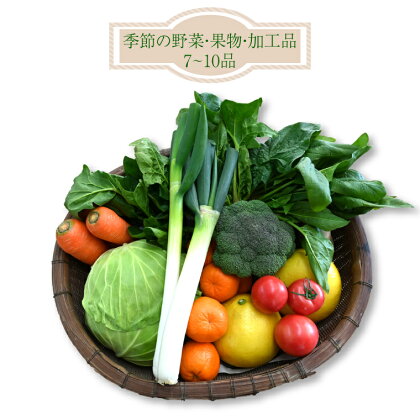 ＜はちきんの店 野菜 セット 7~10品＞ 野菜詰め合わせ 詰合せ 高知の野菜 旬の野菜【冷蔵】高知県 佐川町