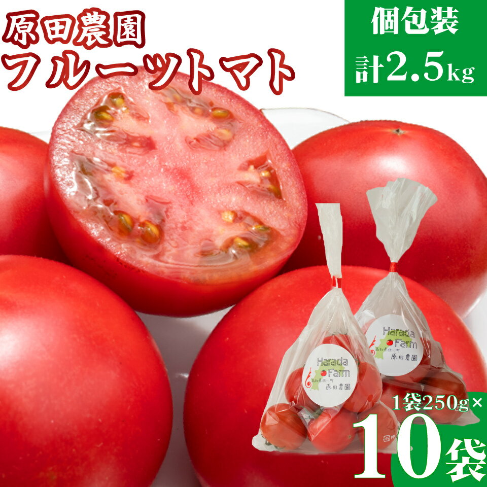 【ふるさと納税】【12月下旬~5月頃発送】<秀品 A品 フルーツトマト 原田農園 約2.5kg 個包装 1袋250g×10袋>【先行予約受付中】桃太郎 当期分は毎年4月上旬頃まで申込受付【常温】送料無料 高知県 佐川町
