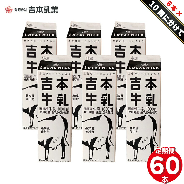 毎週お届け定期便 吉本牛乳 さかわの地乳 1L60本セット 合計10回 牛乳 高知県 佐川町 [冷蔵] ぢちち 1リットル 紙パック 6本 を10週間連続お届け NHKあさイチで紹介