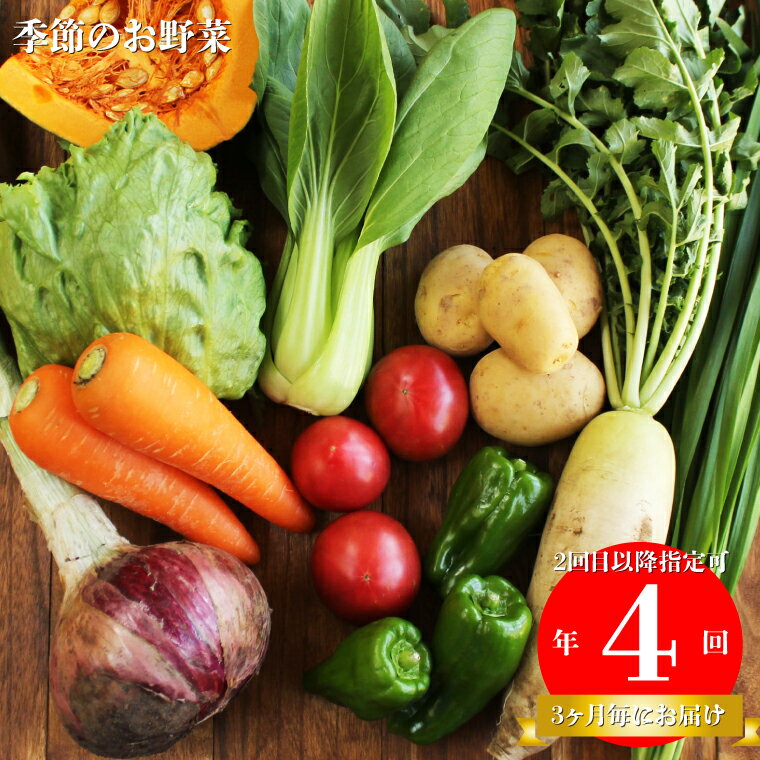 年4回発送![南国高知から直送!旬の季節のお野菜定期便(7〜10品)]高知県 佐川町 野菜セット 野菜便 詰め合わせ 旬の時期にお届け[冷蔵]3ヶ月おきに(計4回)お届け こうち育ち 2回目以降着日指定可能