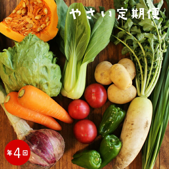 【ふるさと納税】年4回発送！＜南国高知から直送！旬の季節のお野菜定期便（7〜10品）＞高知県　佐川町　野菜セット　野菜便　詰め合わせ　旬の時期にお届け【冷蔵】3ヶ月おきに（計4回）お届け　こうち育ち