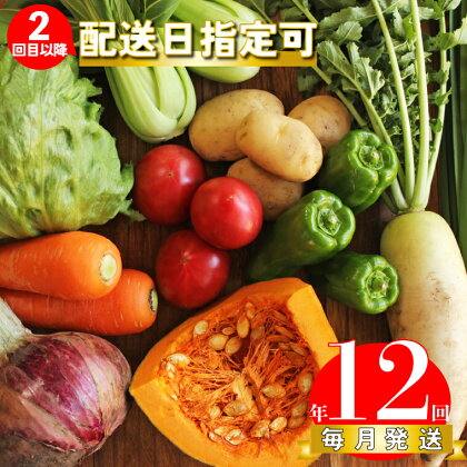 年12回発送！＜南国高知から直送！旬の季節のお野菜定期便（7～10品）＞毎月お届け 野菜セット　野菜便 詰め合わせ 【冷蔵】 旬の時期にお届け 2回目以降、着日時間指定可能 こうち育ち 佐川町