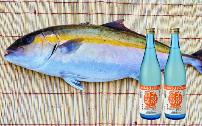 【ふるさと納税】＜【年4回】鮮魚・日本酒（幻の酒）定期便＞高知県 佐川町 勘八　かんぱち　タイ　鯛　ブリ　鰤　かつおのたたき　純米酒　薄濁り酒　地域限定品【冷蔵冷凍】