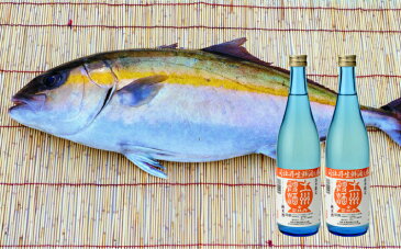 【ふるさと納税】＜【年4回】鮮魚・日本酒（幻の酒）定期便＞高知県 佐川町 勘八　かんぱち　タイ　鯛　ブリ　鰤　かつおのたたき　純米酒　薄濁り酒　地域限定品【冷蔵冷凍】