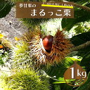 商品説明 生産者組合について 高知県の自然あふれる清流仁淀川は水質日本一を何度もとっています。そんなきれいな水の流れる場所　仁淀川流域で契約農家の皆様が丹精込めて育てました。組合員は現在50名ほどです。 名称 生栗 産地名 高知県佐川町 内容量 秀品　計1kg 保存方法保存は野菜室ではなく冷蔵庫保存が好ましく乾燥させないようにビニール袋に入れて頂くと鮮度が保てます。生鮮品ですのでなるべく早めにお召し上がりください。備考 遺伝子組換えではありません お届け時期入金確認後、2024年10月中旬ごろから順次発送 ・ふるさと納税よくある質問はこちら ・寄附申込みのキャンセル、返礼品の変更・返品はできません。あらかじめご了承ください。【ふるさと納税】＜夢甘栗（約1kg）【数量限定】＞秀品　生栗　2024年10月中旬以降発送予定 「夢甘栗」は日本でただ一箇所、高知県の仁淀川流域でのみ栽培されている非常に生産量の少ない栗です。 「傍士甘栗」と「七立くり」とを交配して、高知県で誕生させたたいへん希少な地栗です。 実のサイズは丹波栗や四万十栗のような大きさはなく、小ぶりですが、香りがよくほくほくとした絶妙な甘さ！ リピーター様が多数います。 ■まるっこ栗って？ 希少な夢甘栗ですが、さらにそこから、 【ひとつのイガの中に実を1粒だけで育ったもの】を選定・お届けします！ 通常、1つのイガの中には3粒入っていることが多いのですが、栽培過程で1つのみ大きくなっていくものが出てきました。 小ぶりながらもまるっとしており、くり蔵では『まるっこ栗』と呼んでいます。 1粒で育った栗は、ついつい手が止まらなくなるほどの甘さが魅力です。 希少な品種のさらに希少なまるっこ栗、ふるさと納税限定ですので、ぜひお試しください。 この度お届けの栗は熟成し、糖度も上がってきているシーズン真っただ中に発送予定。食べ頃の高級『夢甘栗』です。 新鮮な状態ですぐに選別し、サイズも揃えた秀品のみの詰め合わせとなっております。 ※荷姿はイメージです。 「ふるさと納税」寄附金は、下記の事業を推進する資金として活用してまいります。 寄附を希望される皆さまの想いでお選びください。 (1) 医療・福祉・子育ての充実に関する事業 (2) 教育・文化・スポーツの振興に関する事業 (3) 産業・観光の振興に関する事業 (4) 交通安全・防犯の推進に関する事業 (5) その他 特にご希望がなければ、町政全般に活用いたします。 入金確認後、注文内容確認画面の【注文者情報】に記載の住所にお送りいたします。 発送の時期は、寄附確認後2週間以内を目途に、返礼品とは別にお送りいたします。