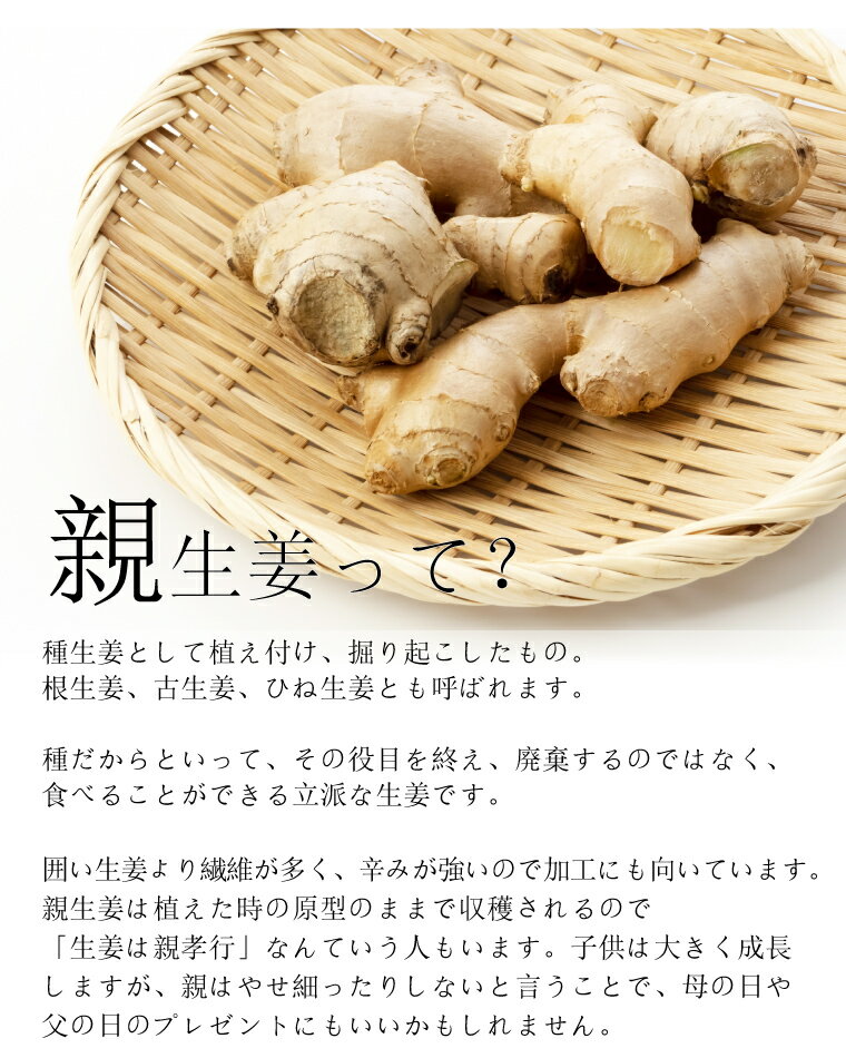 【ふるさと納税】＜トマトと囲い生姜のセット 訳あり・規格外品（トマト1.2kg+生姜600g）＞毎年12月～7月頃まで発送 【常温】送料無料 薬味 高知県産 しょうが ショウガ ジンジャー とまと 野菜 ましまファーム アイメック?