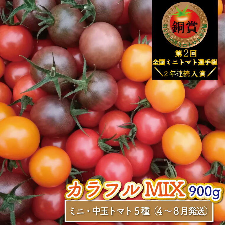 【ふるさと納税】カラフル トマト 5種 ミックス＜約900g