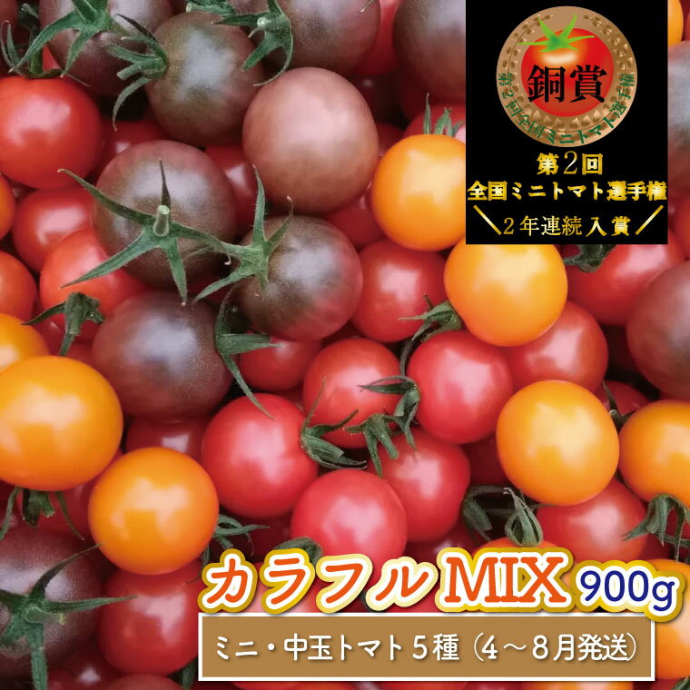 楽天高知県佐川町【ふるさと納税】カラフル トマト 5種 ミックス＜約900g＞ミニトマト フルーツトマト フルティカなど＞アイメック ましまファーム 発送月が選べる 【常温】送料無料 【1月～7月頃発送】 MIX 高知県 佐川町 野菜ソムリエ 第二回 全国ミニトマト選手権 銅賞 2年連続入賞農園