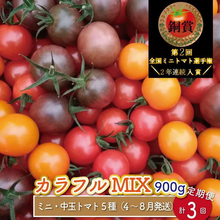 カラフルトマト トマト 5種 MIX フルティカ ＜約900g×3回 定期便＞ 糖度訳あり ミニトマト フルーツトマト ましまファーム アイメック 送料無料 第1回 第2回 連続入賞 全国ミニトマト選手権 銅賞 高知県