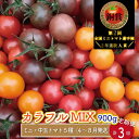 19位! 口コミ数「3件」評価「5」カラフルトマト トマト 5種 MIX フルティカ ＜約900g×3回 定期便＞ 糖度訳あり ミニトマト フルーツトマト ましまファーム アイ･･･ 