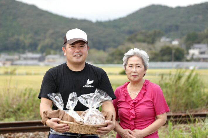 【ふるさと納税】＜イチジク入り☆限定！贅沢パン　480g×2個＞高知県 佐川町 カンパーニュ 自家製天然酵母パン　レーズン【常温】送料無料