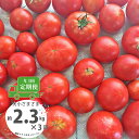 【ふるさと納税】＜【訳あり】トマト定期便 約2.3kg×3回