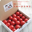 【ふるさと納税】<フルーツトマト 織田トマト 1kg(約1000g) 真っ赤なフルーツ太陽>高知県 佐川町 細胞が喜び命が輝く大空と大地の愛を繋ぐ 贈答 ギフト <毎年1月頃から5月中旬頃まで発送><<2026年発送>>