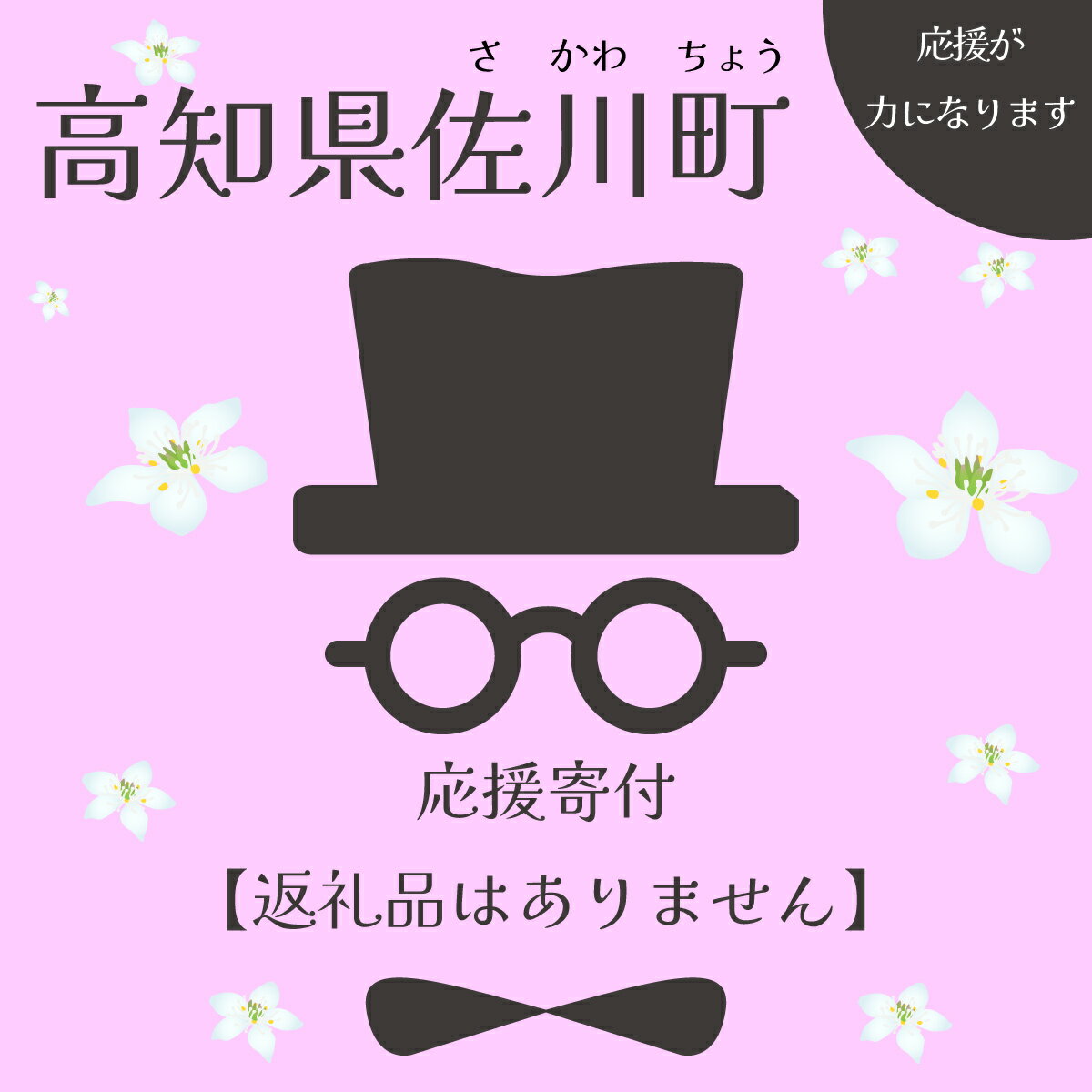 [寄附のみの応援受付(返礼品はございません)] 高知県 佐川町 返礼品なし (1,000円単位でお申込できます)