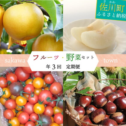 ＜佐川町産フルーツ・野菜 定期便（年3回）＞高知県 佐川町 トマト 梨 和梨 栗 夢甘栗 果物 お申込みの翌期の果物（野菜）から発送 フレッシュ 旬 生栗 ミニトマト 高糖度 フルティカ　トマトミックス　最大8月～3月までお届け