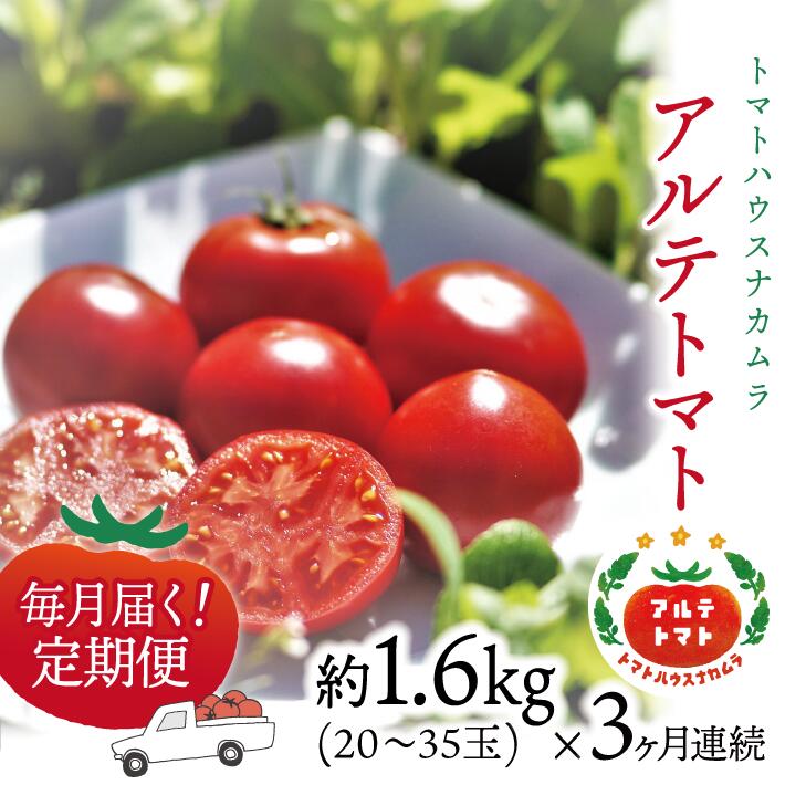 [アルテトマト 定期便 約1.6kg×3ヶ月連続]フルーツトマト 合計4.8kg 高知県 佐川町 トマトハウスナカムラ 野菜 贈答用[常温]栽培期間中化学農薬・化学肥料不使用 (1月初め頃から5月下旬頃まで発送)