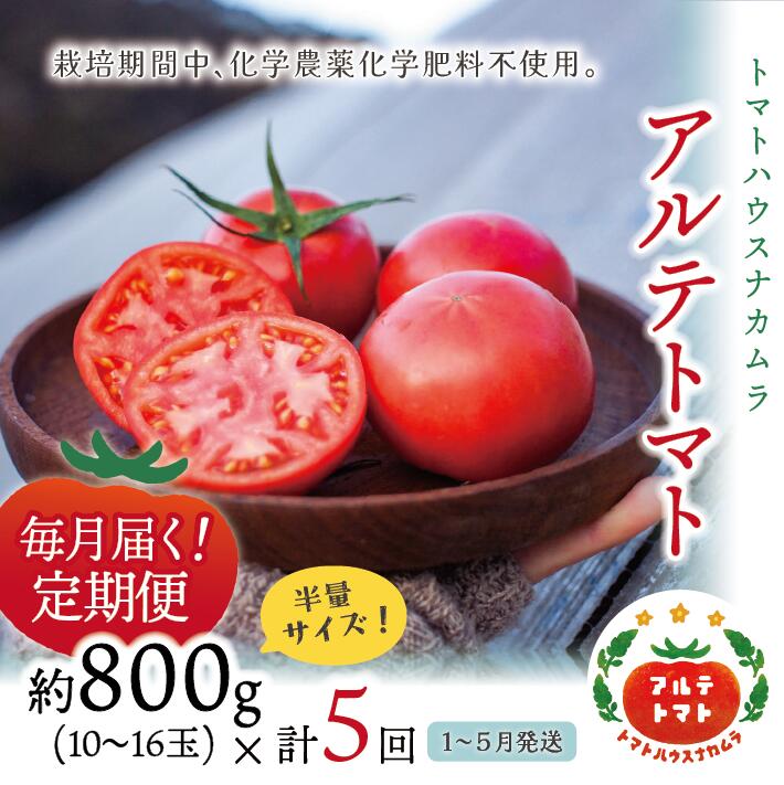 【ふるさと納税】【年5回 定期便】＜アルテトマト 約800g（10‐16玉）×5箱＞計約4kg フルーツトマト 栽...