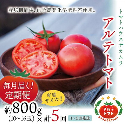 【年5回 定期便】＜アルテトマト 約800g（10‐16玉）×5箱＞計約4kg フルーツトマト 栽培期間中化学農薬・化学肥料不使用 高知県 トマトハウスナカムラ 【常温】（1～5月頃発送）