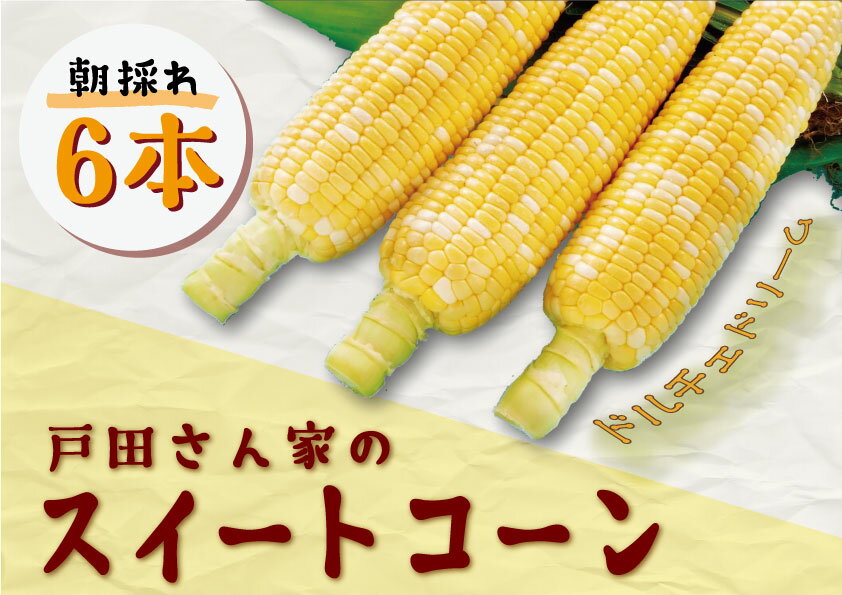 40位! 口コミ数「0件」評価「0」【期間限定】≪数量限定≫ 戸田さんの朝採れ　スイートコーン