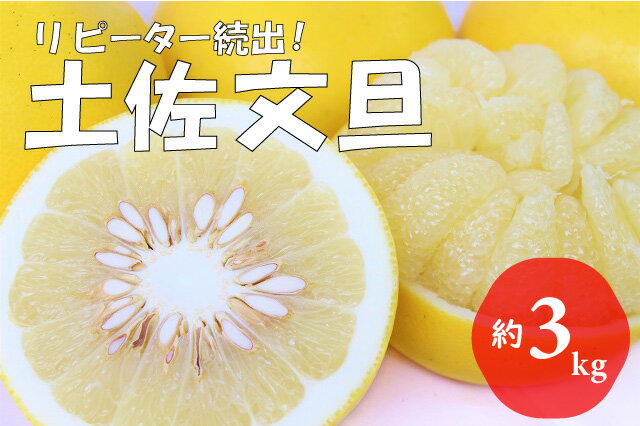 11位! 口コミ数「0件」評価「0」【2025年発送　先行予約】 森下さん家の土佐文旦（3kg以上）　フルーツ 果物 新鮮 産直 柑橘