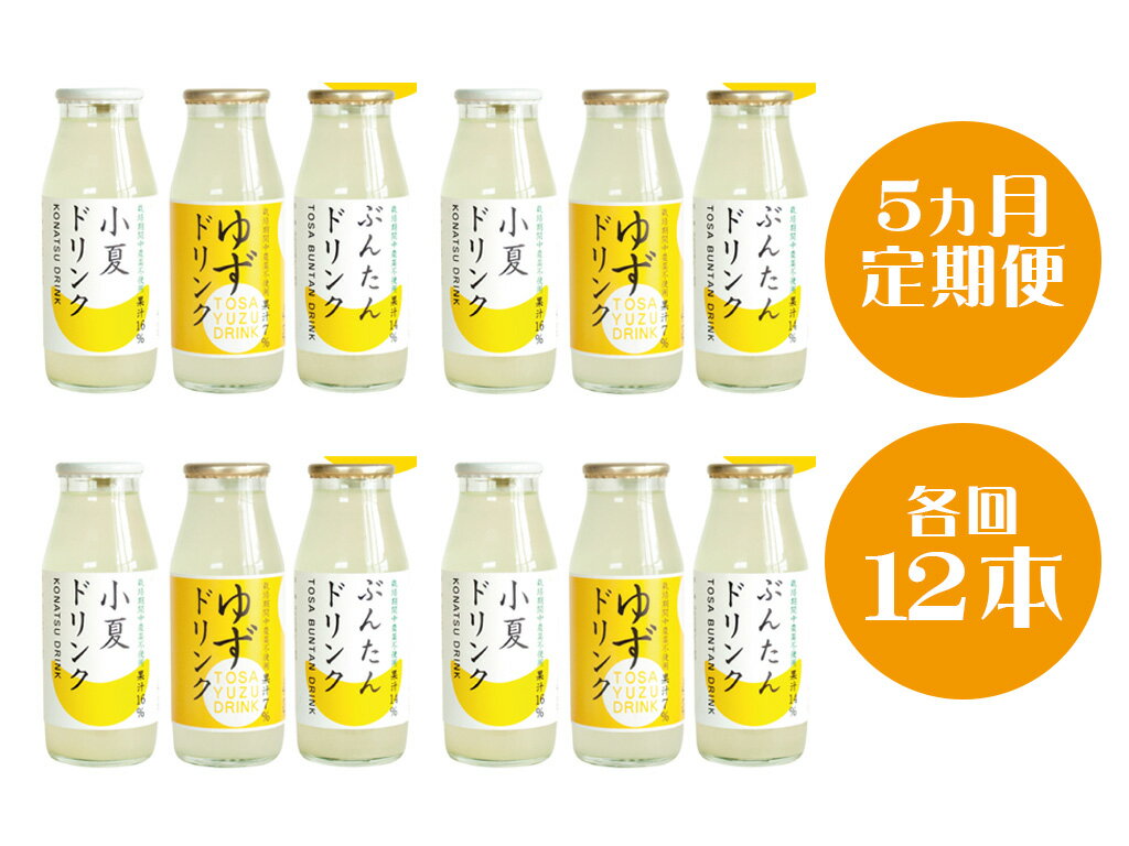 52位! 口コミ数「0件」評価「0」柑橘ドリンク12本（5ヶ月定期便）